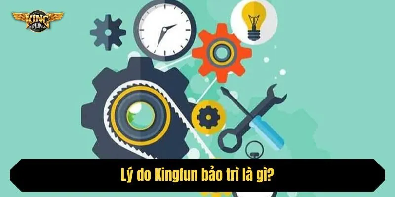 Lý do Kingfun bảo trì là gì?